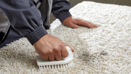 Professional Rug Cleaning Tootgarook